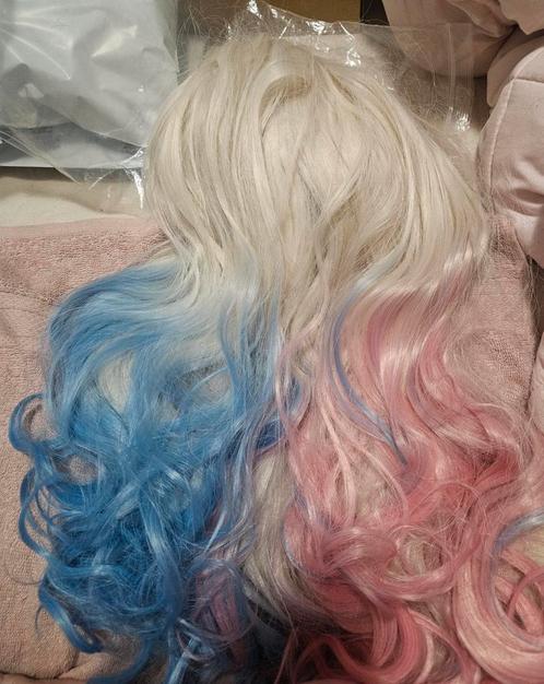Harley Quinn Pruik Nieuw!, Kleding | Dames, Carnavalskleding en Feestkleding, Nieuw, Kleding, Carnaval, Ophalen of Verzenden