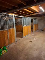 Nieuwe paardenstallen, Dieren en Toebehoren