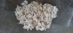 Angora vacht, mohair wol, geiten vacht, Dieren en Toebehoren, Vrouwelijk, Geit