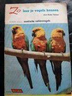 Rizla plaatjes verzamel album., Boeken, Ophalen of Verzenden, Gelezen, Plaatjesalbum