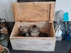 brocante BROODBAK, Ophalen of Verzenden