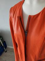 Claudia Sträter leren jasje mt 42 Oranje. Niet gedragen., Kleding | Dames, Jassen | Zomer, Ophalen of Verzenden, Zo goed als nieuw