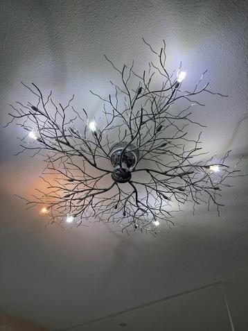 Takkenbos lampen beschikbaar voor biedingen