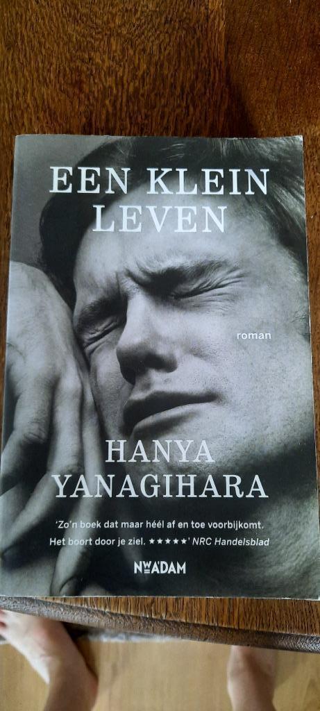 Hanya Yanagihara ( homo , gay ), Boeken, Literatuur, Gelezen, Nederland, Ophalen of Verzenden