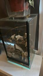 Terrarium, Dieren en Toebehoren