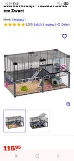 Hamsterkooi ferplast, Dieren en Toebehoren, Knaagdieren en Konijnen | Hokken en Kooien, Ophalen, Gebruikt, Kooi, Hamster
