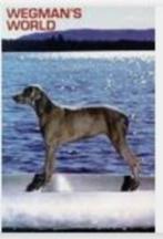 Cherry Duyns 6 Documentaires 1984-2008 oa DDR William Wegman, Overige gebieden, Verzenden, Alle leeftijden, Boxset