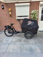 Heb nog een hele goede en nette elektrische bakfiets carry3, Ophalen, Zo goed als nieuw, 4 kinderen of meer, Overige merken