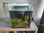 Compleet garnalen aquarium, Ophalen of Verzenden, Zo goed als nieuw