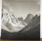 Schilderij, 50 tot 75 cm, Ophalen of Verzenden, Zo goed als nieuw, Schilderij