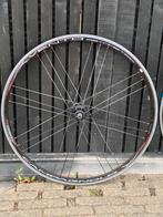 Campagnolo Wielset - Shimano hun - Aluminium - Racefiets, Wiel, Gebruikt, Campagnolo, Racefiets