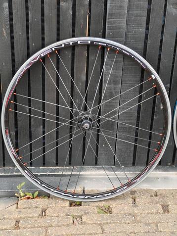 Campagnolo Wielset - Shimano hun - Aluminium - Racefiets beschikbaar voor biedingen