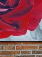 -	Schilderij canvas mer roos, Huis en Inrichting, Ophalen of Verzenden, 'T Olde Gre-j, Info@toldegrej.nl, Endepoelstraat 20f Didam