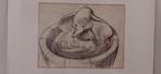 Disney Dumbo Tekening uit 1941, Ophalen of Verzenden