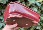 Bonsai schaal Ossenbloed rood geglazuurd 27,6x21,5x7,8, Tuin en Terras, Bloempotten, Nieuw, Ophalen of Verzenden, Aardewerk, Rechthoekig