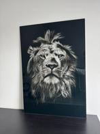 Plexigas schilderij zwart/wit van leeuw, Ophalen, Zo goed als nieuw, Schilderij, 75 cm of meer