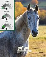 Te koop Duits weide hooi en kruiden hooi, Dieren en Toebehoren, Dierenvoeding, Ophalen of Verzenden, Overige soorten