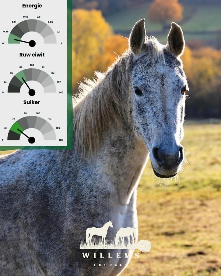 Te koop Duits weide hooi en kruiden hooi, Dieren en Toebehoren, Dierenvoeding, Overige soorten, Ophalen of Verzenden