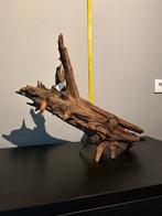 Prachtig stuk Kienhout / Driftwood / Spiderwood #3 Aquarium, Ophalen of Verzenden, Zo goed als nieuw, Plant(en), Steen of Hout