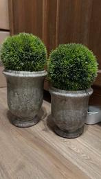 Bloempot inclusief deco, Tuin en Terras, Ophalen, Steen, Rond, Binnen