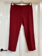 Samsoe Samsoe bordeaux nette broek maat M (valt groter L), Maat 42/44 (L), Ophalen of Verzenden, Zo goed als nieuw, Samsoe Samsoe