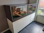 Terrarium met kast (190cm breed), Dieren en Toebehoren, Ophalen