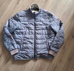 Tommy Hilfiger Denim jas XXL lichtgrijs, Tommy Hilfiger, Overige maten, Ophalen of Verzenden, Grijs