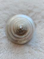 Mooie grote schelp, Ophalen, Zo goed als nieuw, Overige soorten, Overige typen