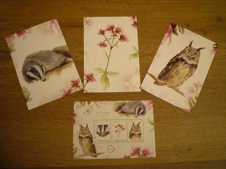 Das wilde marjolein Oehoe uilen vogels, Verzamelen, Ansichtkaarten | Dieren, Voor 1920, Vogel, Ophalen of Verzenden