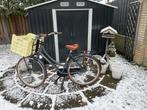 Mooie transport Damesfiets, 50 tot 53 cm, Ophalen, Gebruikt, Versnellingen