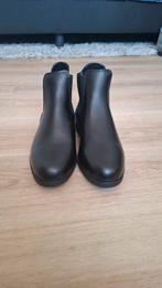 Chaps schoenen, Dieren en Toebehoren, Paardrijkleding, Ophalen of Verzenden, Nieuw, Schoeisel