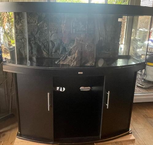 Grote Juwel aquarium sterk glas. Met bijpassend zwarte kast, Dieren en Toebehoren, Vissen | Aquaria en Toebehoren, Gebruikt, Leeg aquarium