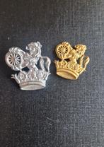 British Rail company, Verzamelen, Speldjes, Pins en Buttons, Ophalen of Verzenden, Zo goed als nieuw
