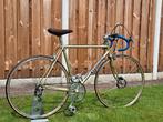 benotto modelo 800, 51 tot 55 cm, Ophalen