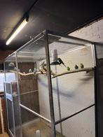 Aluminium voiliere met vogels, Ophalen, Nieuw, Aluminium, Volière
