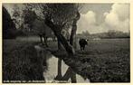 In de omgeving van de Geldersche Toren, Spankeren - koe - on, Ophalen of Verzenden, Voor 1920, Ongelopen, Gelderland