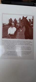 Wim Romijn prenten, Ophalen of Verzenden, Voor 1940, Zo goed als nieuw