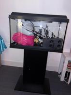 Acquarium Juwel, Dieren en Toebehoren, Ophalen, Zo goed als nieuw, Leeg aquarium
