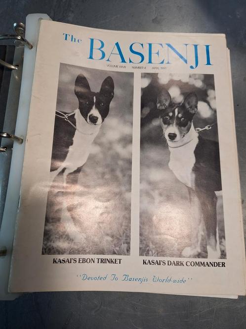 The Basenji 19 stuks amerikaans tijdschrift, Verzamelen, Dierenverzamelingen, Zo goed als nieuw, Beeldje of Figuurtje, Ophalen of Verzenden
