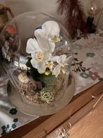 Mooie grote stolp, Huis en Inrichting, Woonaccessoires | Stolpen, Ophalen, Zo goed als nieuw