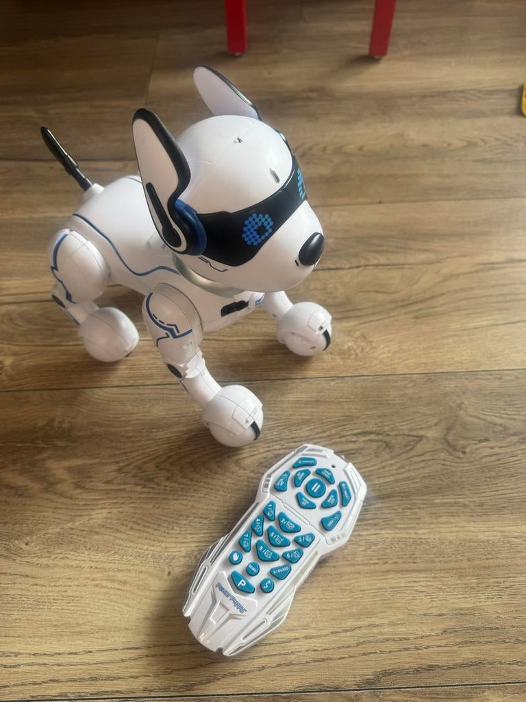 Power Puppy Robot Hond, Ophalen of Verzenden, Gebruikt, Jongen of Meisje