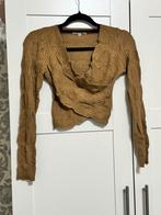 Korte Trui, Kleding | Dames, Overige Dameskleding, Ophalen of Verzenden, Zo goed als nieuw