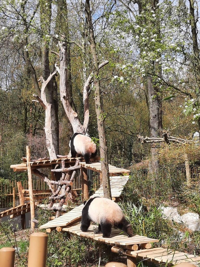 Verkocht ** 2 Tickets Ouwehands dierentuin., Tickets en Kaartjes, Drie personen of meer, Ticket of Toegangskaart