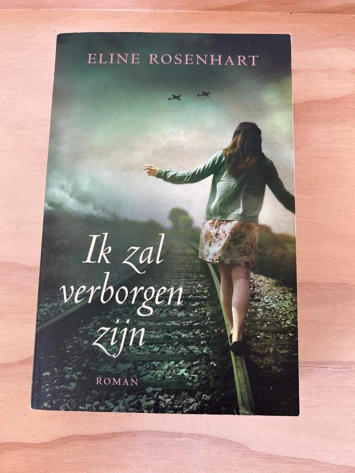 Ik zal verborgen zijn - Eline Rosenhart, Boeken, Romans, Gelezen, Nederland, Ophalen of Verzenden