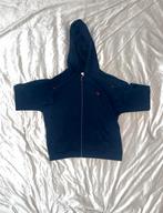 Ralph lauren vest, Ophalen of Verzenden, Nieuw, Maat 52/54 (L), Blauw