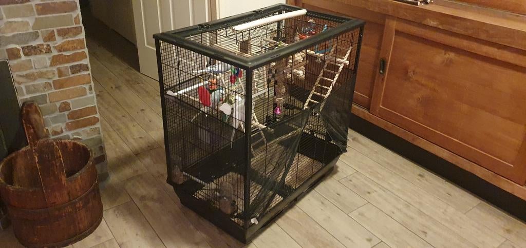 Zgan voliere / vogelkooi, all-in zonder vogels 50x80x80, Ophalen, Zo goed als nieuw, Metaal, Volière