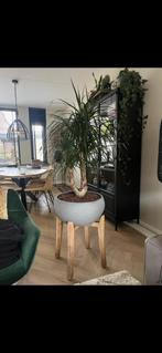 Grijze bloempot op houten poten, Ophalen, Gebruikt, Hout