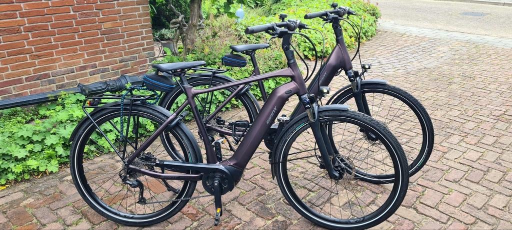 Giant elektrische fietsen, maat M en L, Fietsen en Brommers, Elektrische fietsen, 51 tot 55 cm, Ophalen of Verzenden, Gebruikt