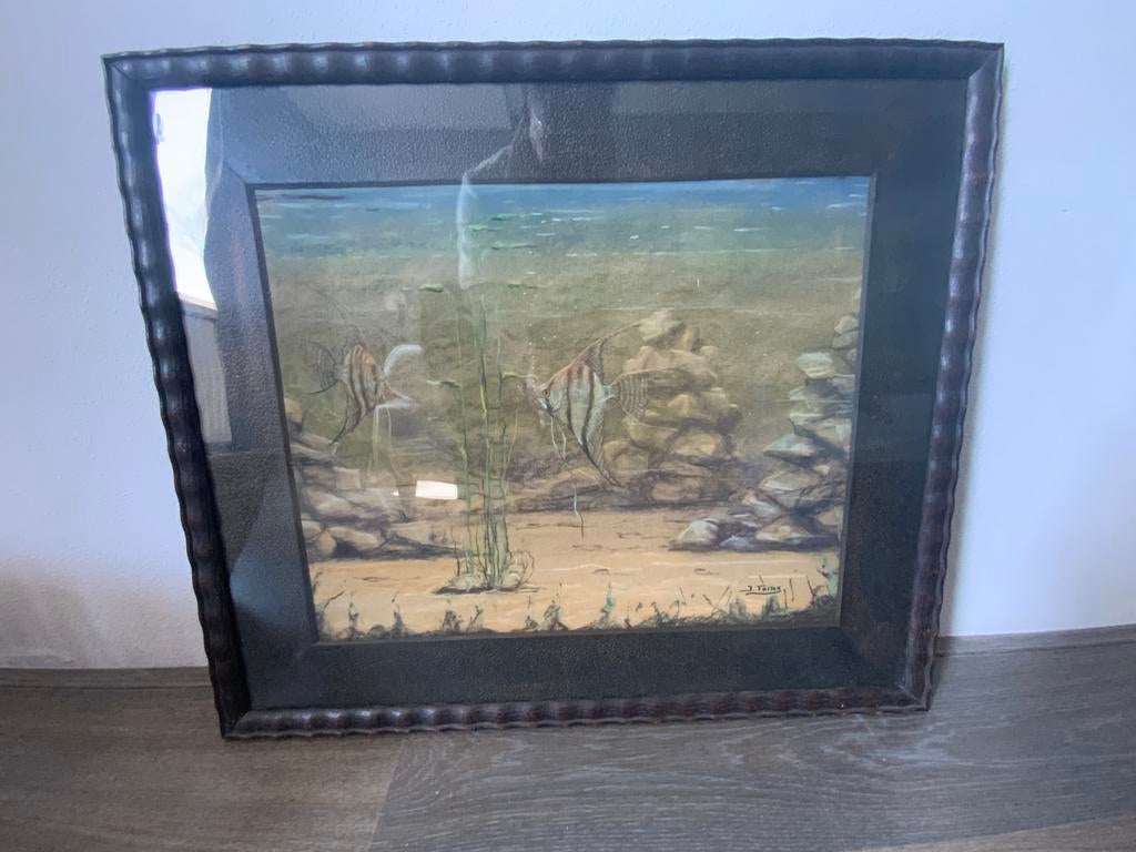 Antiek Schilderij Tekening Aquariumvissen Aquarium Maanvis, Antiek en Kunst, Ophalen of Verzenden