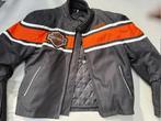 Motorjas dames, maat S met embleem Harley Davidson, Motoren, Kleding | Motorkleding, Ophalen, Tweedehands, Dames, Jas | textiel